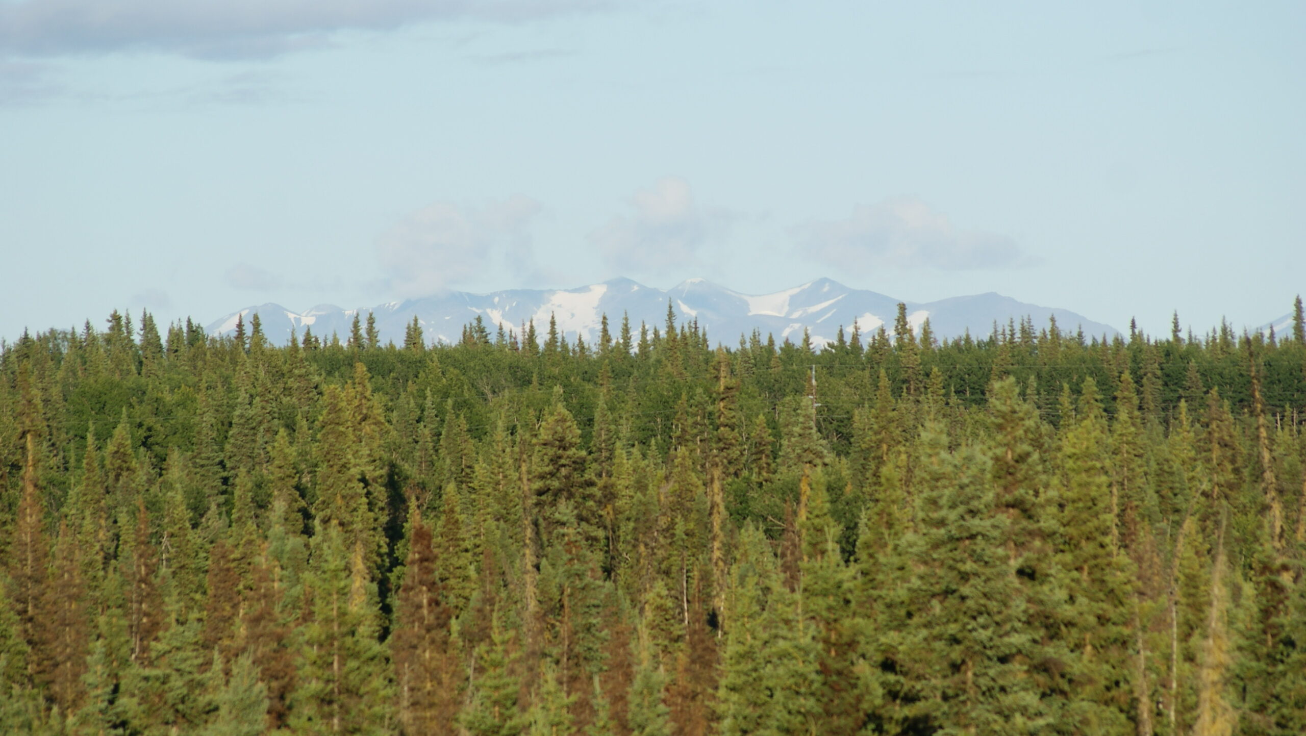 Beautiful view from an Airbnb.